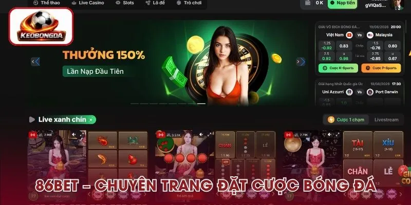 86Bet – Chuyên Trang Đặt Cược Bóng Đá, Trả Thưởng Lớn