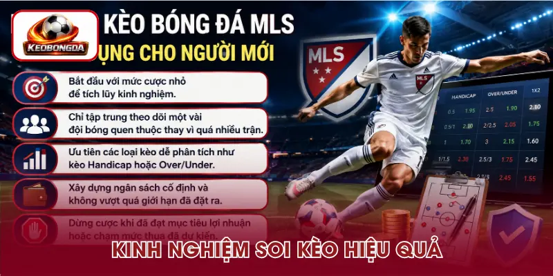 Bí quyết soi kèo bóng đá MLS hiệu quả cho người mới