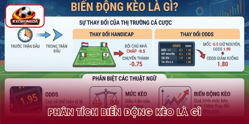Giải đáp biến động kèo là gì