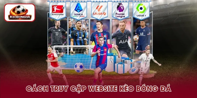 Các bước truy cập web cập nhật thông tin nhanh