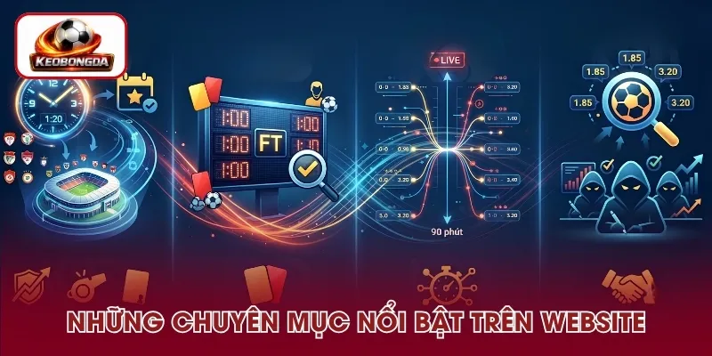 Các chuyên mục nổi bật đang có tại website