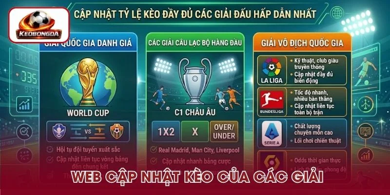 Các giải đấu được web cập nhật đầy đủ kèo