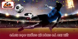 Cách Đọc Thống Kê Bóng Đá – Hướng Dẫn Hiểu Đúng Từng Chỉ Số