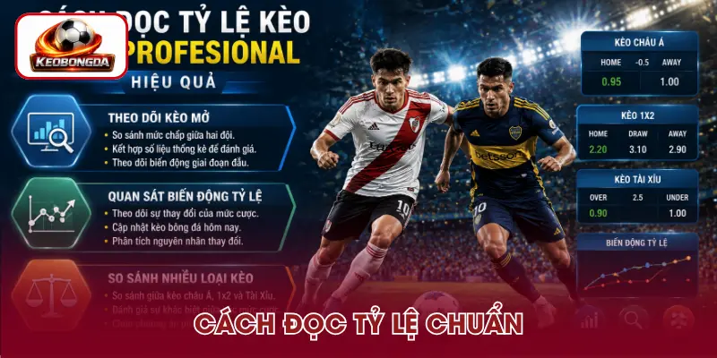 Cách phân tích tỷ lệ kèo bóng đá Liga Profesional