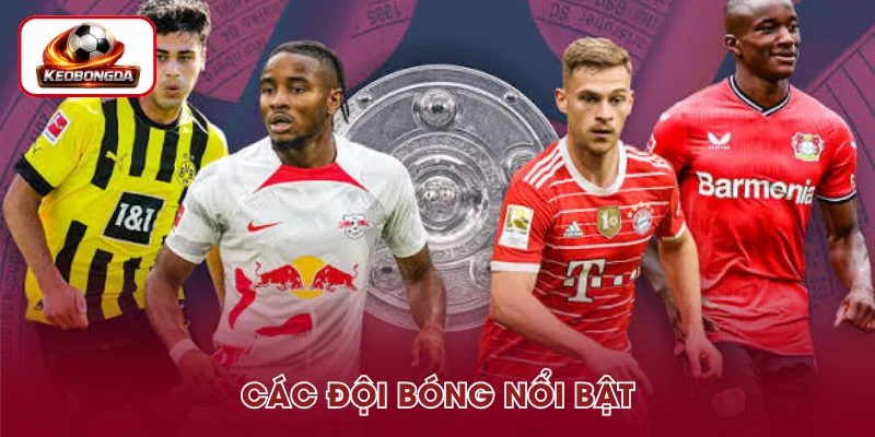 Đội bóng nổi bật tại Bundesliga