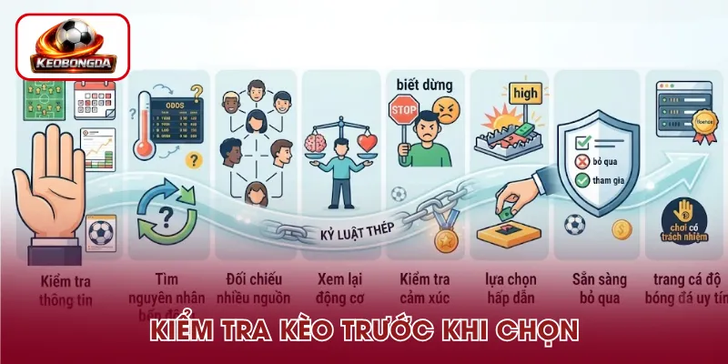 Quy trình đánh giá kèo trước khi chọn