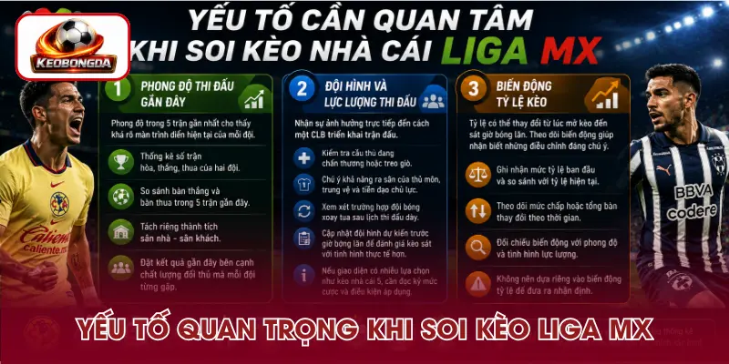 Các điểm cần lưu ý khi soi kèo nhà cái Liga MX