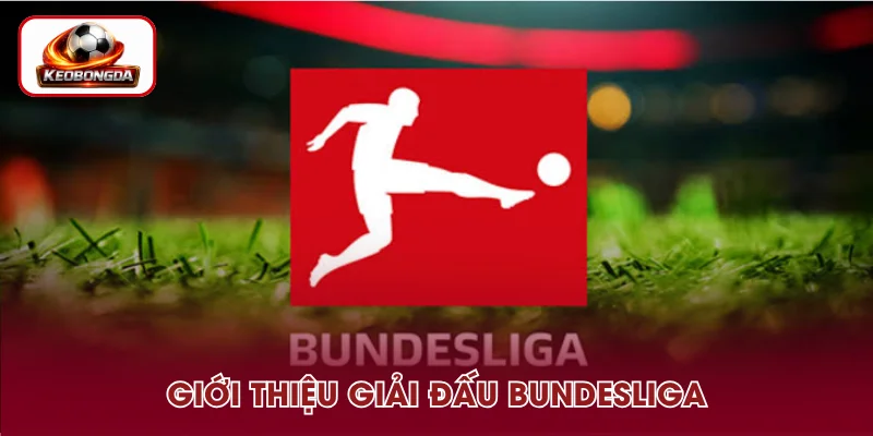 Đôi nét về giải đấu Bundesliga