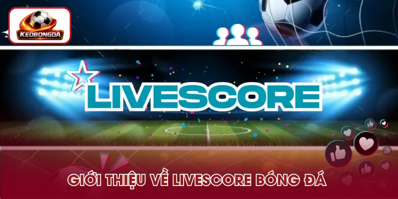 Đôi nét về livescore bóng đá