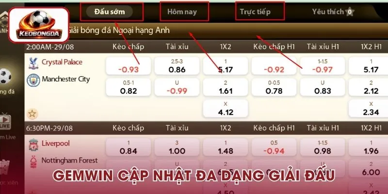 Tại nhà cái người chơi có thể theo dõi nhiều giải đấu khác nhau