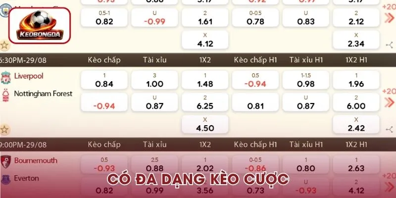 Kèo nhà cái được cung cấp đa dạng giúp người chơi dễ dàng lựa chọn