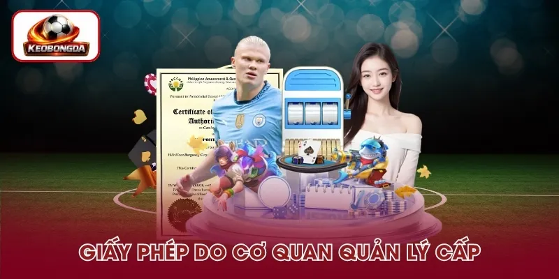 Giấy phép và tính pháp lý
