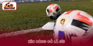 Kèo Bóng Cỏ Là Gì? Cách Đọc Chuẩn Cho Người Mới