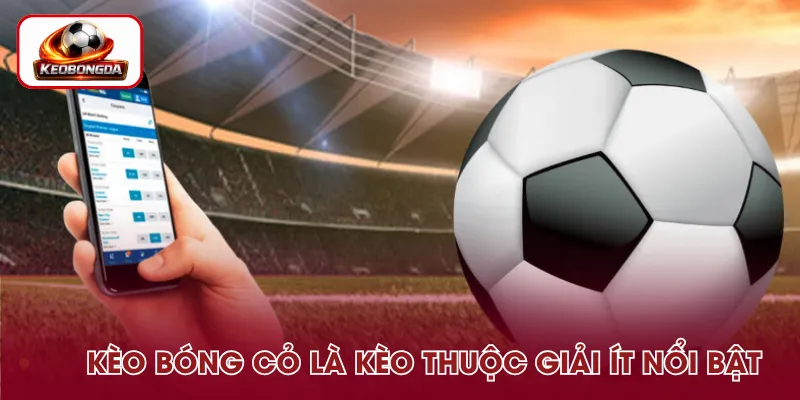 Kèo bóng cỏ là gì - Đây là loại cược thuộc các giải đấu ít nổi bật