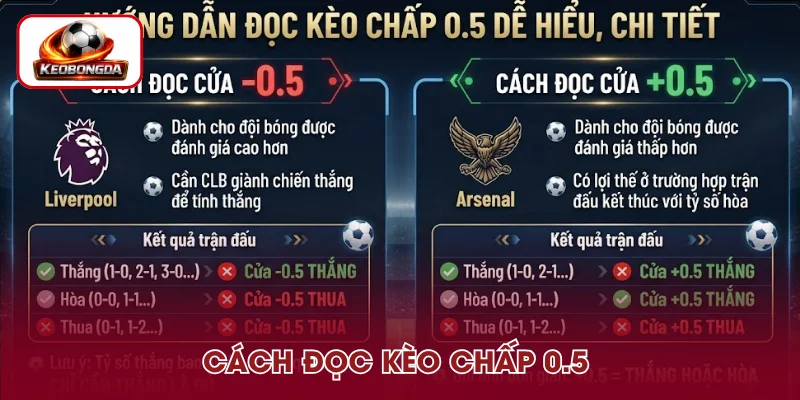 Hướng dẫn đọc kèo chấp 0.5 dễ hiểu, chi tiết