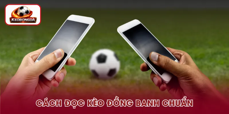 Hướng dẫn đọc kèo đồng banh cho người mới