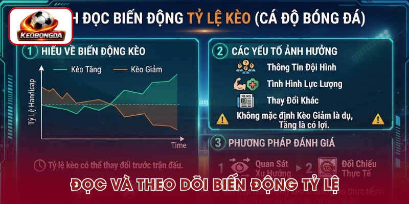 Đọc và theo dõi biến động thường xuyên