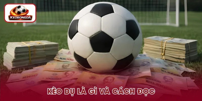 Kèo Dụ Là Gì Và Cách Đọc Dễ Hiểu Trước Giờ Bóng Lăn
