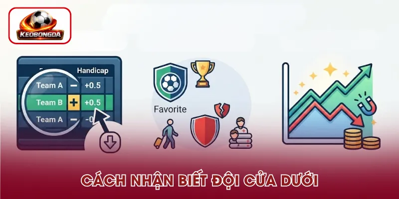 Cách nhận biết đội cửa dưới
