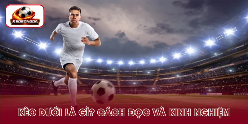 Kèo Dưới Là Gì? Cách Đọc Và Kinh Nghiệm Hiệu Quả