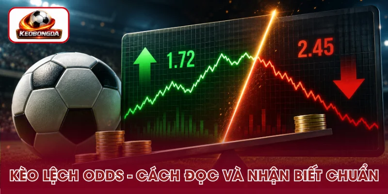 Kèo Lệch Odds Là Gì? Cách Đọc Và Nhận Biết Chuẩn Xác