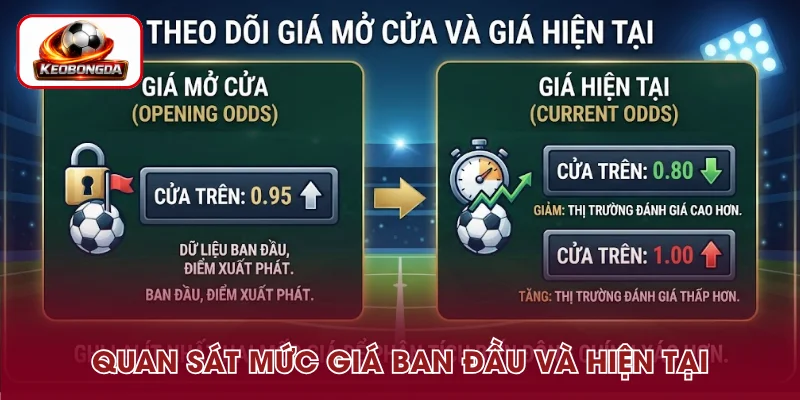 So sánh giá mở cửa với mức Odds hiện tại