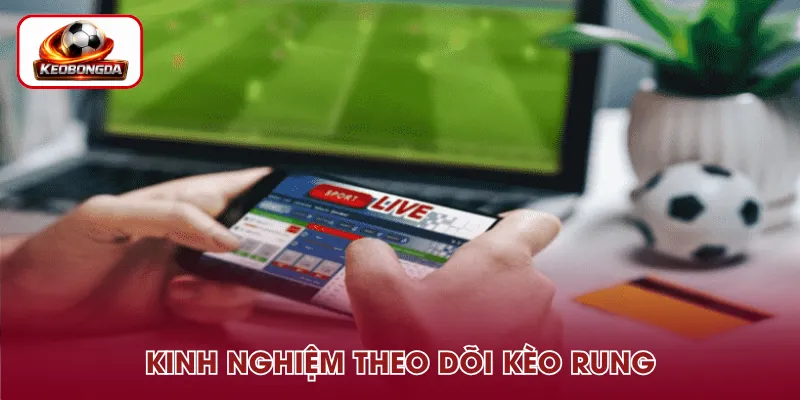 Kinh nghiệm theo dõi kèo rung cho người mới