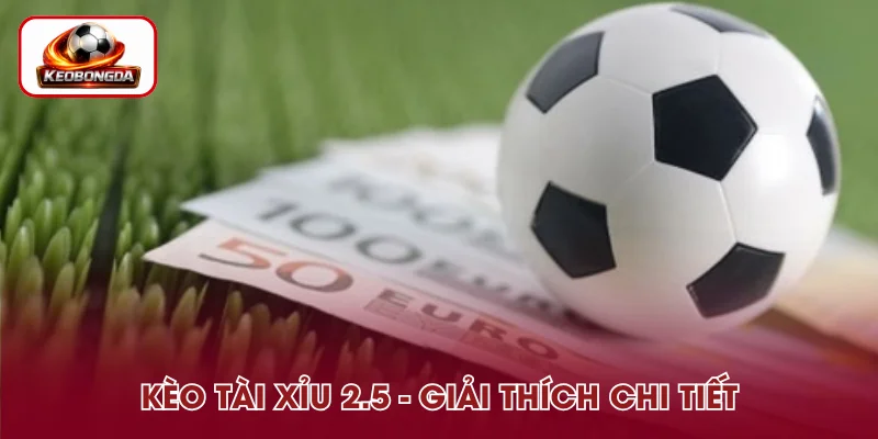 Kèo Tài Xỉu 2.5 - Giải Thích Dễ Hiểu Từ A-Z Cho Newbie