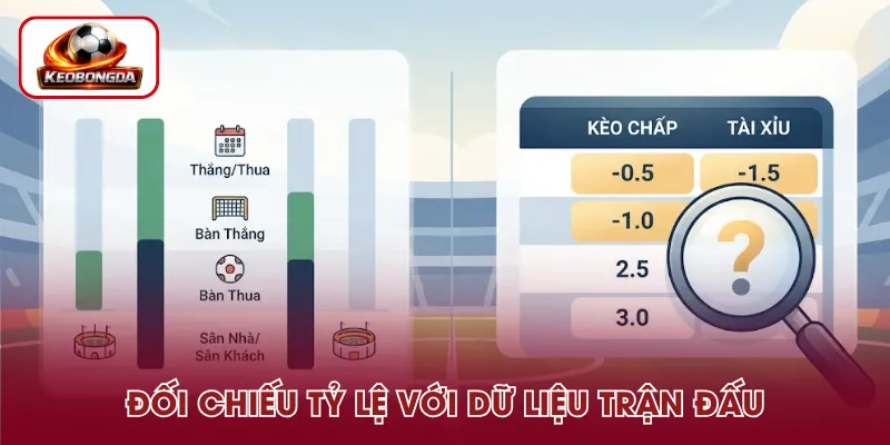Đối chiếu tỷ lệ với dữ liệu trận đấu