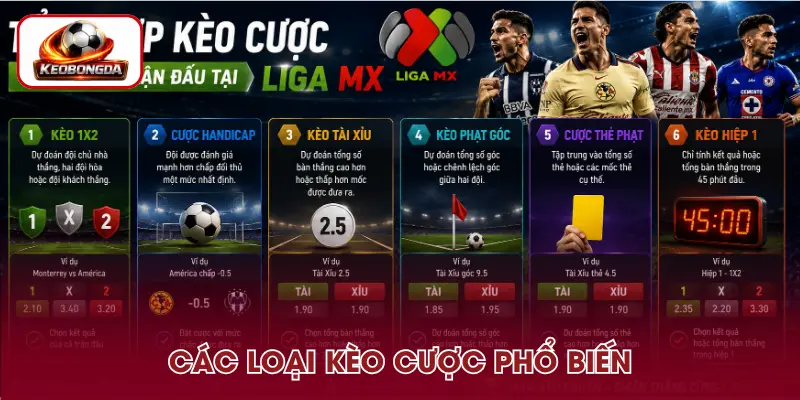 Các loại cược trong kèo bóng đá Liga MX