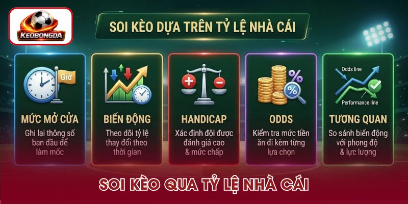 Kinh nghiệm soi kèo bóng đá dựa vào tỷ lệ nhà cái