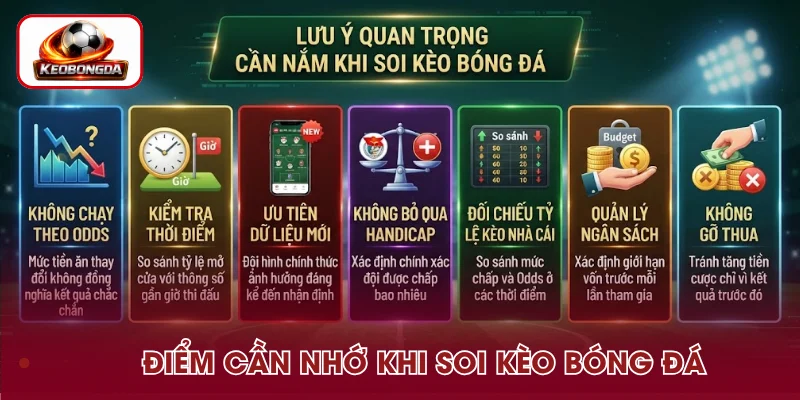 Điều cần lưu ý trước khi soi kèo bóng đá