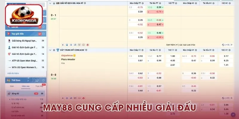 Nhà cái cung cấp nhiều giải đấu tiêu biểu cho phép người chơi thỏa sức tham gia