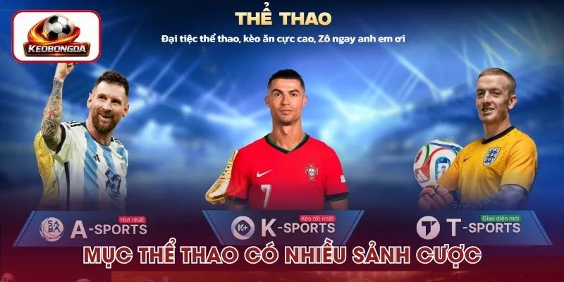 Mục thể thao có nhiều sảnh cá cược cho phép hội viên thỏa sức tham gia