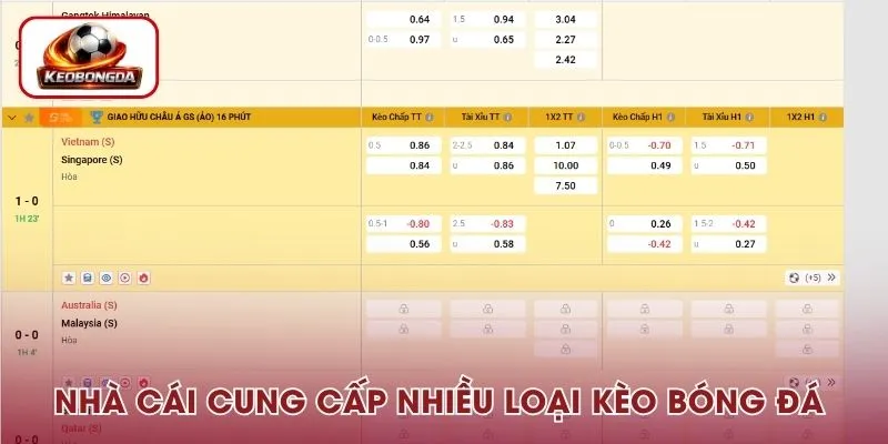 Nhà cái cung cấp đa dạng các loại kèo bóng đá hôm nay