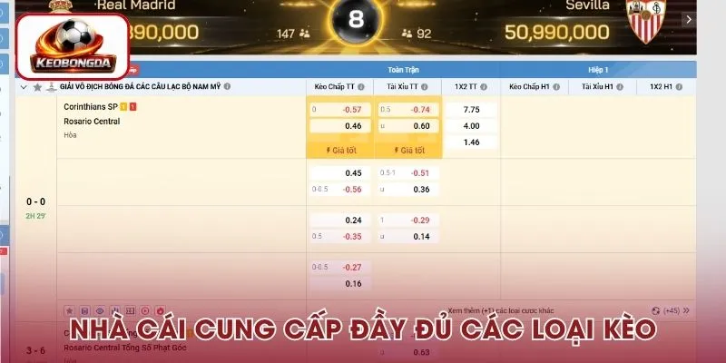 Nhà cái cung cấp đầy đủ các loại kèo trong thể thao