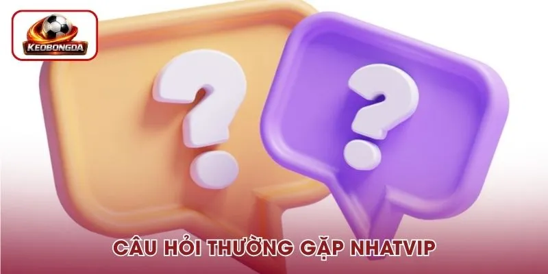 Cập nhật những câu hỏi thường gặp để chơi thể thao tại Nhat Vip thuận lợi hơn