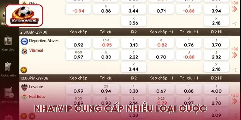 Nhat Vip cung cấp cho người chơi nhiều loại cược