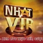 Nhatvip – Xem Live Trực Tiếp, Cược Cực Dễ, Đa Dạng Kèo