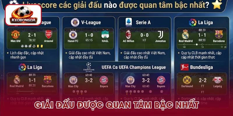 Những giải đấu được quan tâm khi tìm hiểu livescore