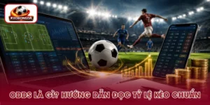 Odds Là Gì? Giải Thích Cách Đọc Tỷ Lệ Kèo Chi Tiết