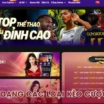 Rik88 – Đa Dạng Các Loại Kèo Cược Bóng Đá, Khuyến Mãi Hấp Dẫn