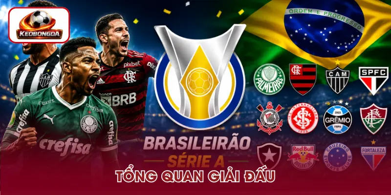 Sơ lược về giải đấu Serie A Brazil 