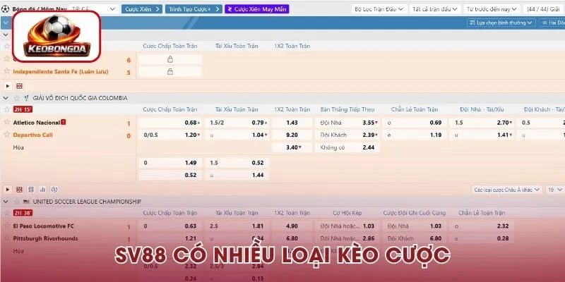 Có nhiều loại kèo cược cho phép hội viên thỏa sức tham gia