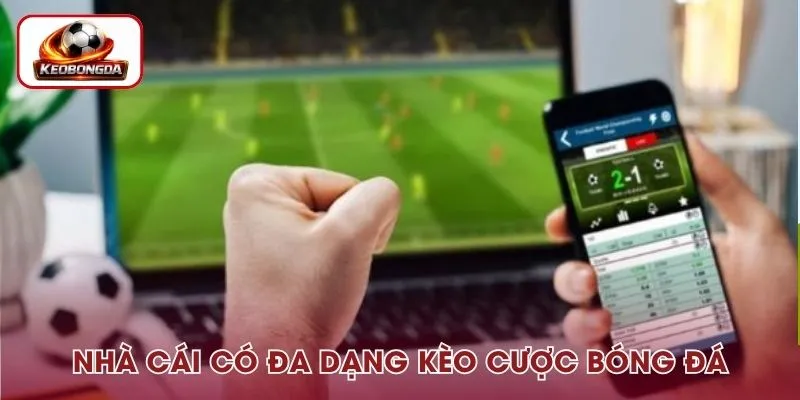 Tham gia tại Dom88 có đa dạng kèo bóng đá hôm nay