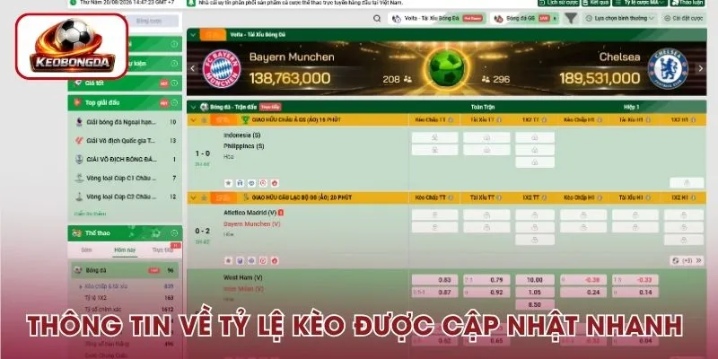 Thông tin về tỷ lệ kèo luôn được hệ thống cập nhật nhanh chóng
