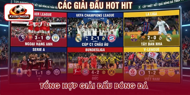 Tổng hợp giải đấu HOT HIT website cập nhật thông tin