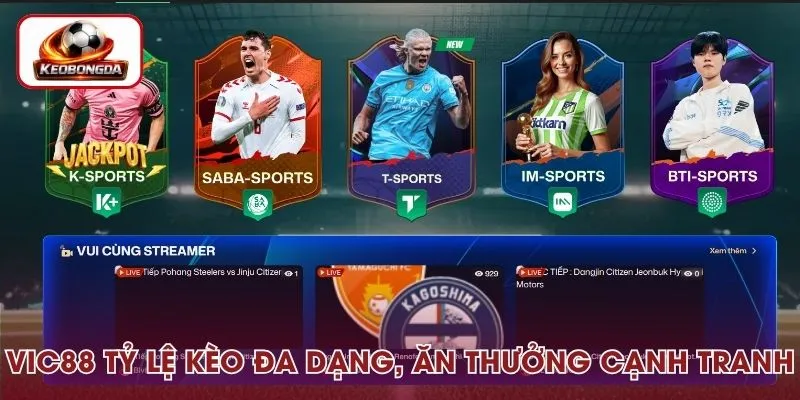 VIC88 – Tỷ Lệ Kèo Đa Dạng, Ăn Thưởng Cạnh Tranh, Chơi Ngay!