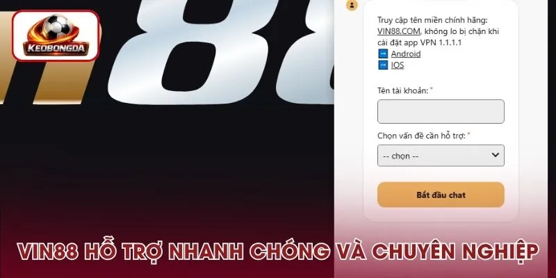 Vin88 có dịch vụ hỗ trợ nhanh chóng và chuyên nghiệp