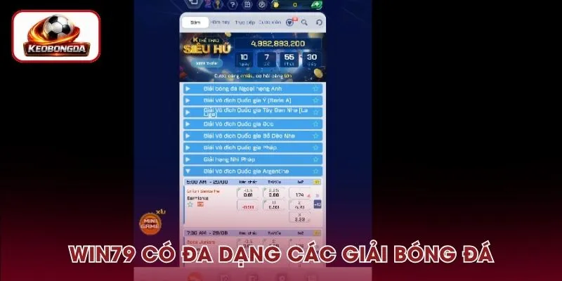 Cổng game cung cấp đa dạng các giải bóng đá cũng như kèo cược
